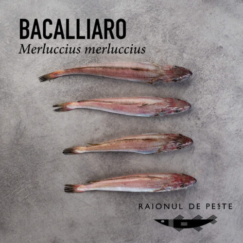 Baccalliaro Raionul De Peste